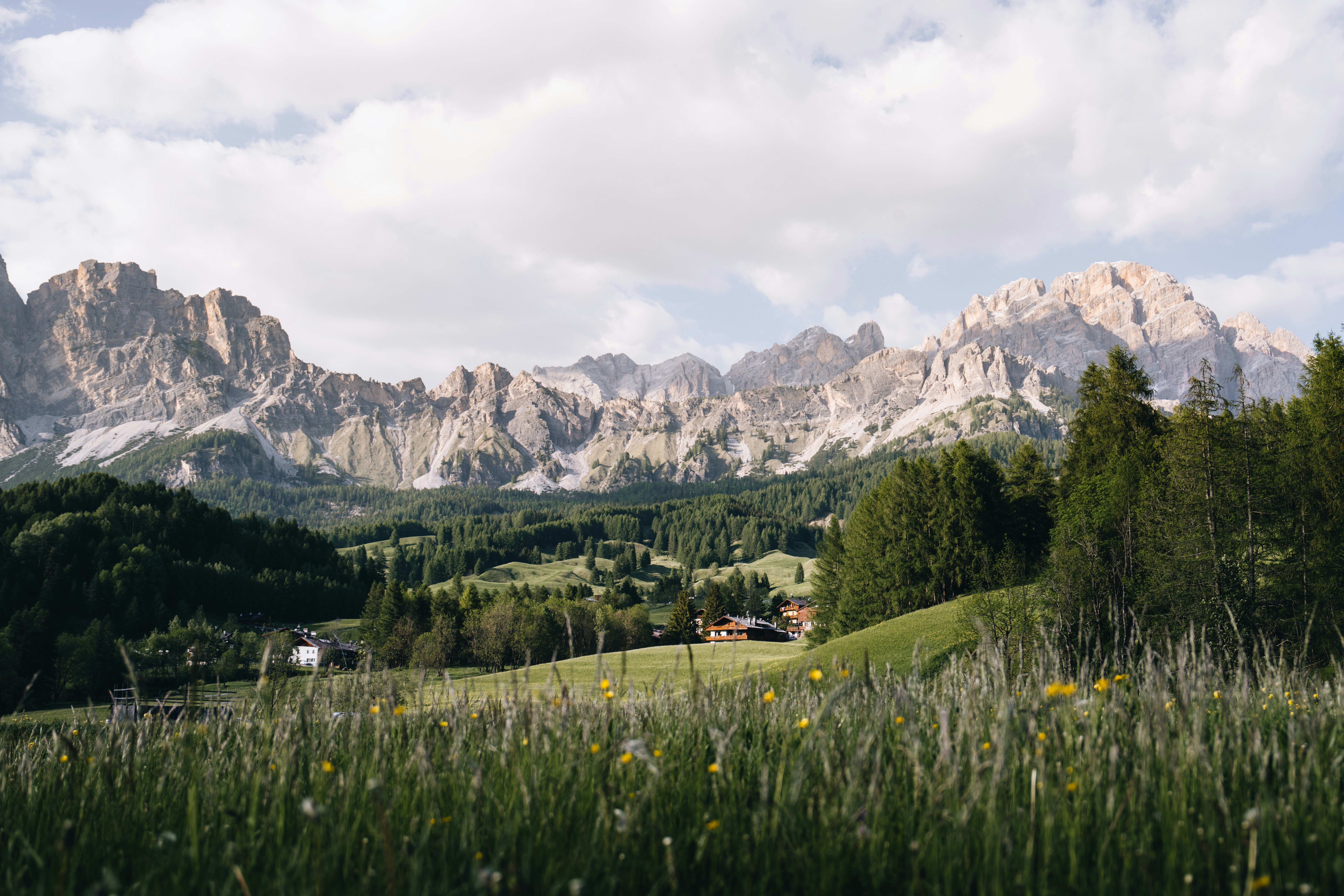 Tours & Travel